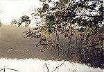  Jezioro Kociołek - Wielkopolski Park Narodowy