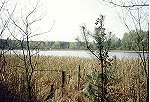  Rezerwat jezioro Pławno - Puszcza Zielonka