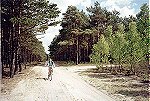  Znakowany szlak turystyczny w okolicach Bronkowa