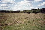  Rozległe łąki w okolicach Bronkowa