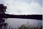  Jezioro Woliskie - Wolisko