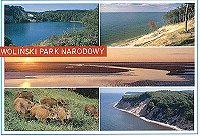  Jezioro Turkusowe w Wapnicy, Zalew Szczeciński, panorama delty Świny<br> dziki z rezerwatu żubrów, klifowe wybrzeże nad Bałtyki