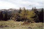  Góry Izerskie, widok z drogi Szklarska Poręba - Świeradów Zdrój