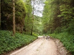  Znakowany szlak rowerowy - okolice Hütten
