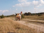  Rozległe łąki przy drodze Czeklin - Grochów