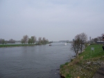 Rzeka Moza w okolicach Roermond