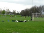 W niedzielne przedpołudnie w Fairview Park można było zobaczyć rzesze Irlandczyków grających w hurling, golfa, rugby ...