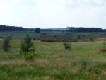 Rozległe łąki przy drodze Czeklin - Wełmice