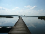 Silnie wypłycone jezioro Jańsko z unikatowymi zbiornikami i gatunkami roślinności torfowiskowej - Strużka
