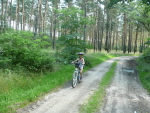 Lasy stanowią 67% powierzchni Gminy Bobrowice, dlatego też nasza trasa w większości biegła leśnymi drogami
