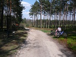 Mijamy gospodarstwo agruturystyczne w Bronkówku, droga jest bardzo piaszczysta, przez moment musimy pchać nasze rowery