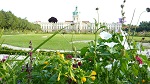 Przypałacowy ogród urządzony był w stylu francuskim, jego obecny kształt powstał już po wojnie. Obecnie wokół zamku ponownie urządzono barokowe ogrody, w których podziwiać można Mauzoleum, herbaciarnię Belweder, fontanny i kopie rzeźb antycznych.