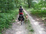 Jesteśmy w Parku Narodowym, dlatego Sofi biegnie na specjalnej smyczy przymocowanej do rowera 

Julii.