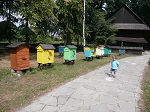W skansenie organizowane są także warsztaty pszczelarskie.