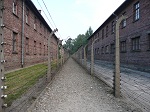 Ogrodzenie obozowe pod napięciem 400 V - Auschwitz I.