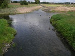 Skrzyżowanie rzek w Wągrowcu, mimo że bardzo efektowne, nie jest zjawiskiem naturalnym. Zostało stworzone podczas prac melioracyjnych w 1830 roku. Zmieniły one miejsce ujścia Nielby do Wełny, tak aby wypadało w punkcie rozdzielania się biegu Wełny.