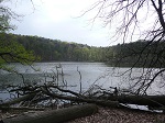 Jezioro Kociołek to niewielki, kolisty akwen o powierzchni 4,3 ha i maksymalnej głębokości 7,77 m.