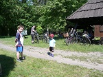 Puszczykowskie Centrum Animacji Sportu po raz kolejny w tym roku zaprosiło na wspólny rajd rowerowy szlakami Wielkopolskiego Parku Narodowego. Skorzystaliśmy z zaproszenia i w ponad 20 osobowej grupie przejechaliśmy 25 kilometrową trasę.