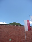 W latach 1850-1956 wokół Kopca Kościuszki powstał fort cytadelowy, przystosowany do samodzielnej obrony. Posiadał on m.in. 60 armat i haubic oraz 6 moździerzy, załoga fortu liczyła ponad 700 żołnierzy.