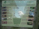 Wśród płazów w Parku licznie występują traszki, kumaki, grzebiuszki, rzekotki oraz żaby zielone i brunatne.