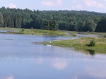 Zespół stawów założono w latach 1929-34 na miejscu rozległych mokradeł w dorzeczu strumienia Świerszcz.