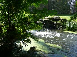 Przez park arboretum w pobliżu zamku przepływa rzeczka Trzemna.