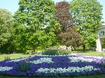 W Łazienkach Królewskich, ulubionym miejscu odpoczynku w Warszawie, każdego roku wiosną kwitnie nawet do 100 tysięcy kwiatów.