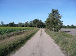 Droga Popowo Stare - Barchlin.