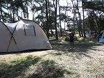 Na kempingu w Drewoldke zostajemy na jeszcze jedną noc. Tym razem nasz namiot ustawiamy dalej od morza w sosnowym lesie.