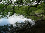 Bardzo często nasz sezon wycieczkowy zaczynamy od Wielkopolskiego Parku Narodowego, w tym roku również wybraliśmy się do parku nacieszyć oczy piękną przyrodą - Jezioro Kociołek.