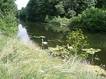 Kanał, oprócz śluz, których jest 18, tworzą: Netta, Czarna Hańcza i jeziora augustowskie.