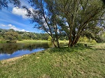 Jednym z najpiękniejszych miejsc w Puszczykowie jest Zakole Warty. Rzeka w tym rejonie pięknie meandruje, brzeg jest porośnięty drzewami i krzewami, jednak bez problemu można podejść do samej wody.