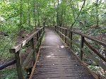 Drewniany mostek na leśnej ścieżce prowadzącej z Puszczykowa do Lubonia.